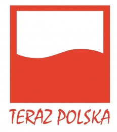 Polak to pijus, pirat drogowy i złodziej? NIE !