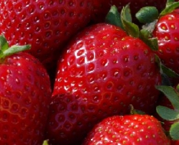 Na norweskie truskawki trzeba będzie jeszcze poczekać