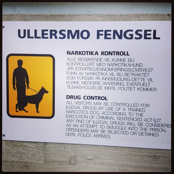 Zróbmy więzienie dla cudzoziemców - nie trzeba będzie robić remontu!