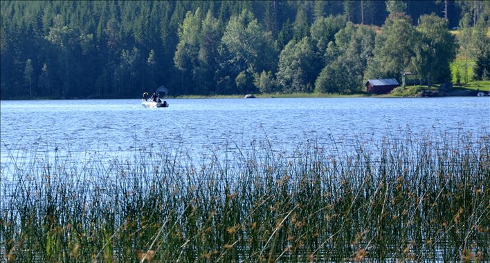 Znaleziono ciało zaginionego Polaka