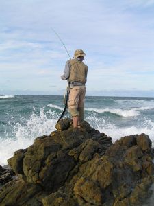 Sezon na leszcza (i inne rybki)