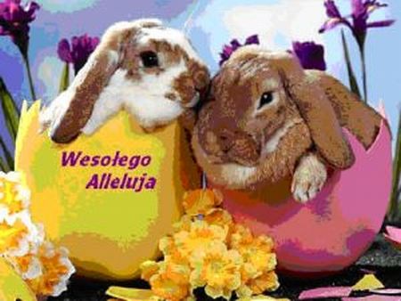 Wesołego Alleluja- God Påske 