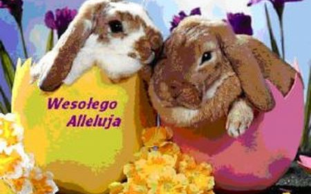 Wesołego Alleluja- God Påske