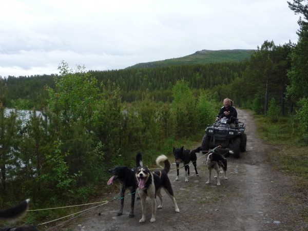 zaprzeg_z_12_husky.jpg