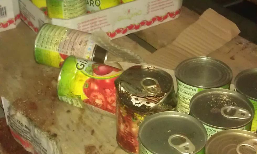 Smacznego, czyli larwy i muchy w magazynie Remy 1000  