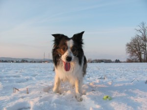 Lekcja 86 – zima (I)