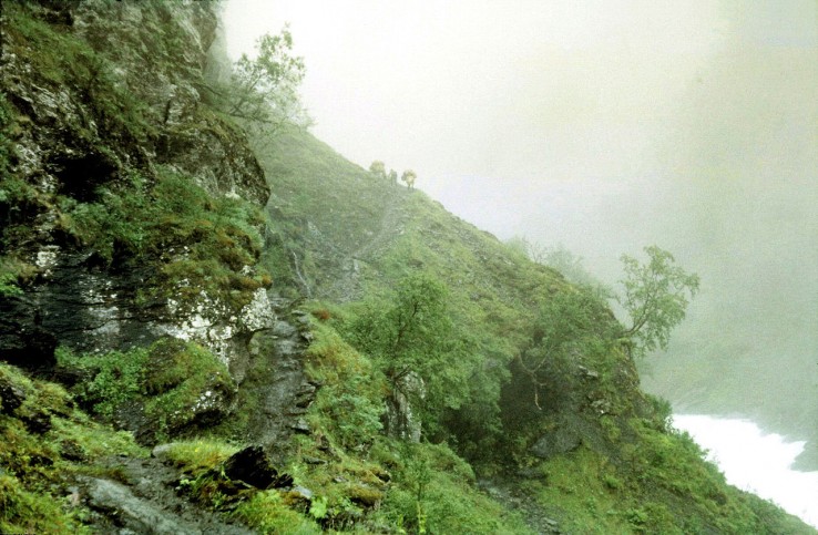 mglisty poranek w Aurlandsdalen