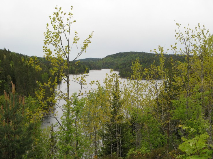 Østmarka Østmarka