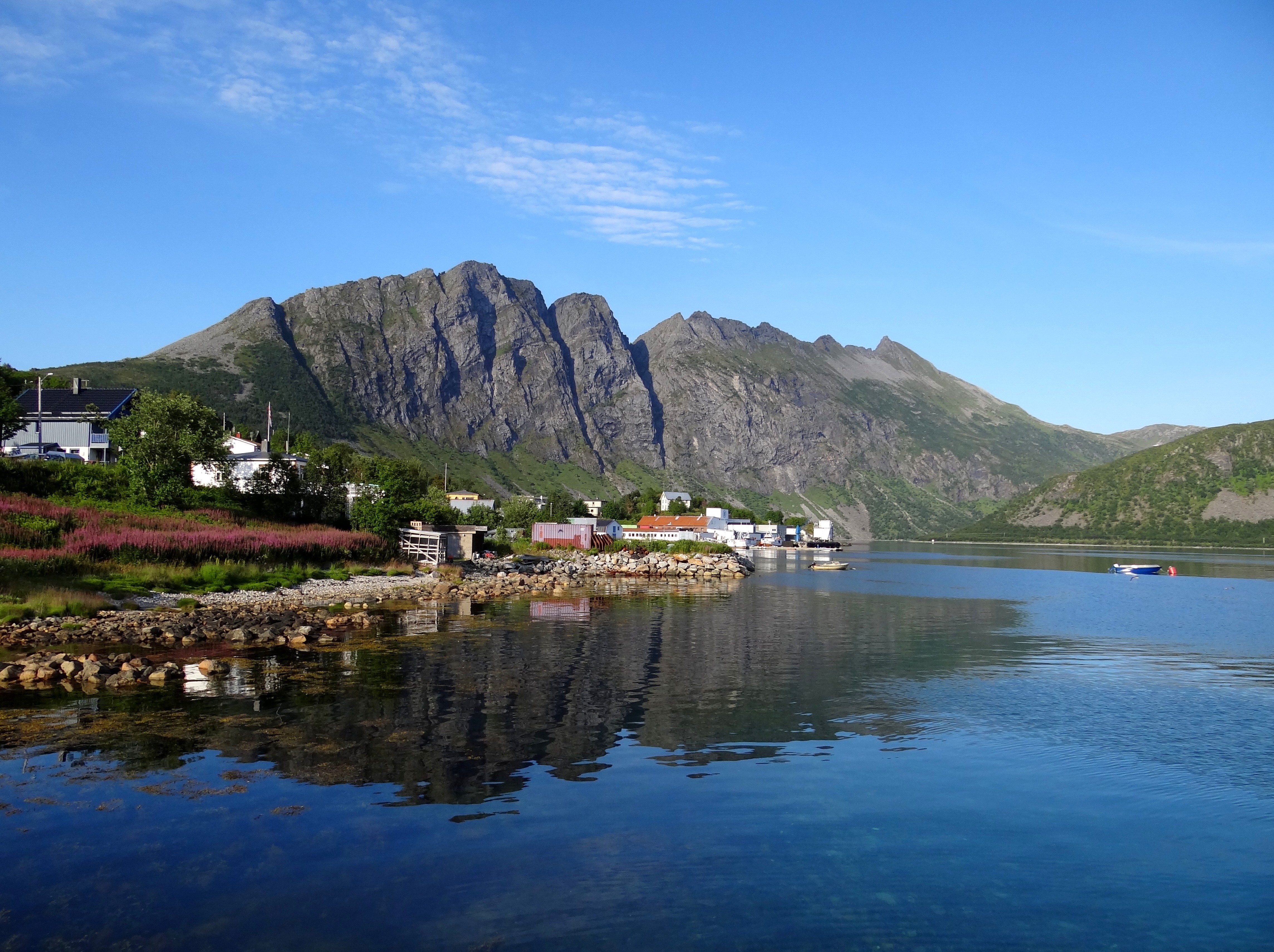 Senja