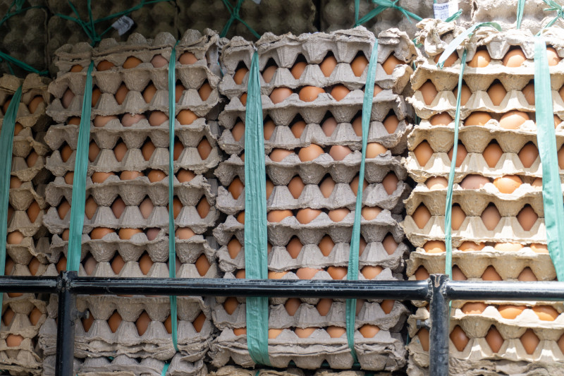 Dėl pašaro su per dideliu vitamino D kiekiu reikėjo paskersti 60 tūkst. vištų.
