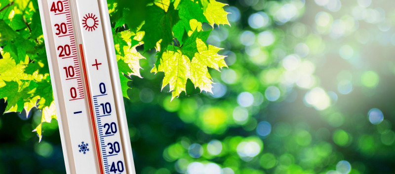 Na najzimniejszych stacjach, w których obserwowano są średnie temperatury w przedziale od pięciu do sześciu stopni Celsjusza, termometry również pokazywały odczyty powyżej normy.