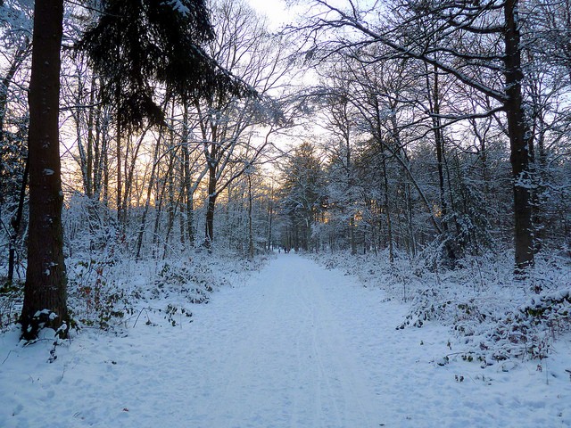 zima