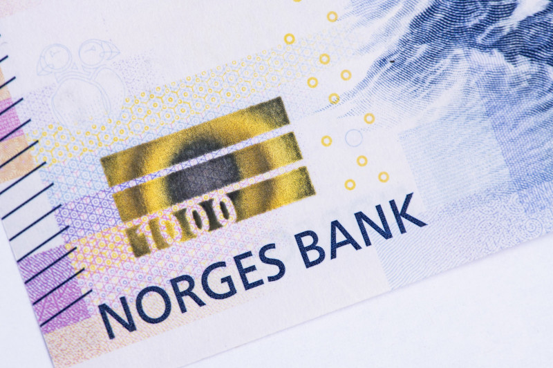 Od początku roku do końca czerwca korona norweska straciła wobec euro 6,1 proc.