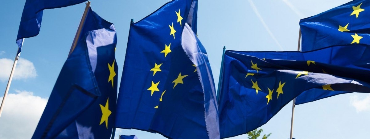 Jako elementy wymagające negocjacji przedstawiciele Zielonych wskazali kwestie rybołówstwa, rolnictwa, samowystarczalności państwa oraz respektowania zasad demokratycznych.