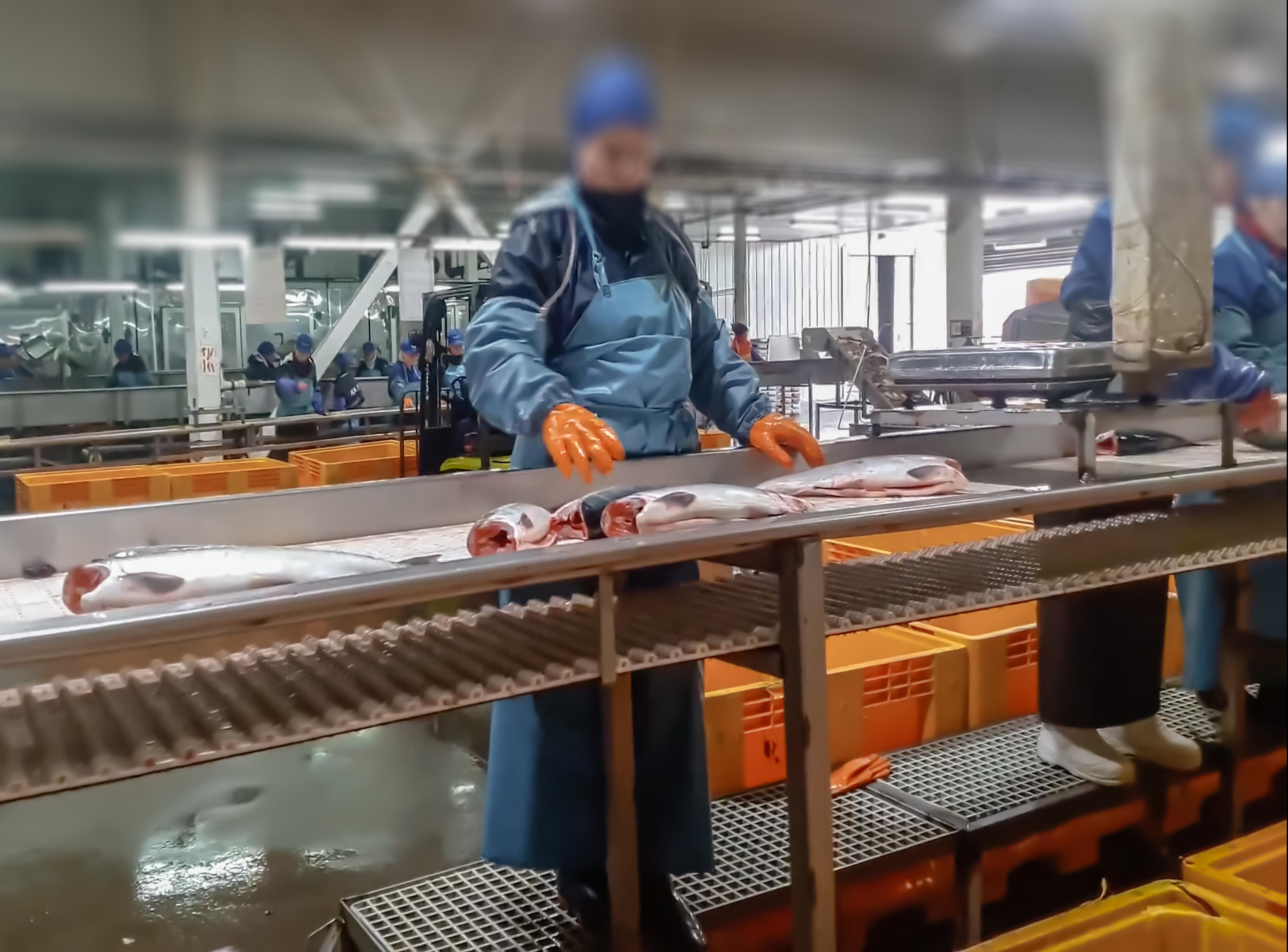 Na oszustwa narażeni są zwłaszcza pracownicy zatrudnieni w branży budowlanej, sprzątającej, przetwórstwa rybnego czy samochodowej. /zdjęcie poglądowe
