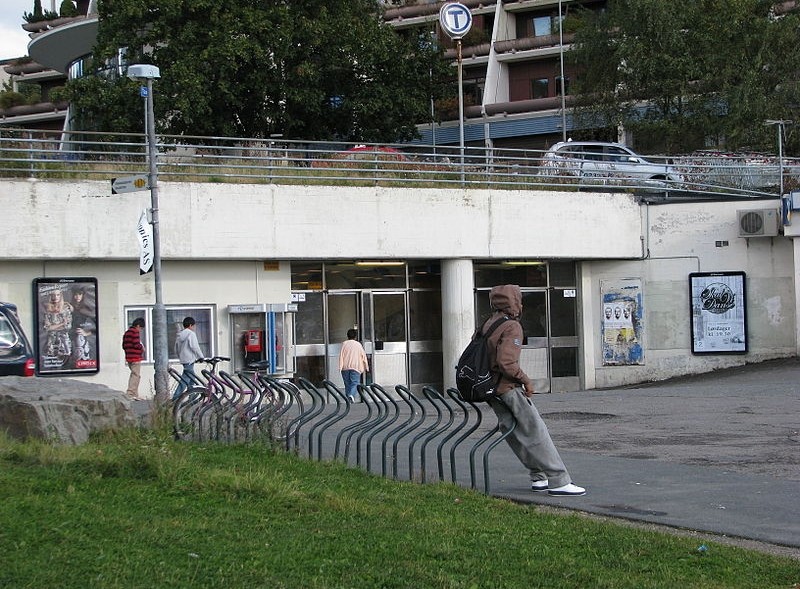 Dzielnicą Oslo, w której dość często dochodzi do przestępstw, jest Stovner - zasiedlone przede wszystkim przez imigrantów.
