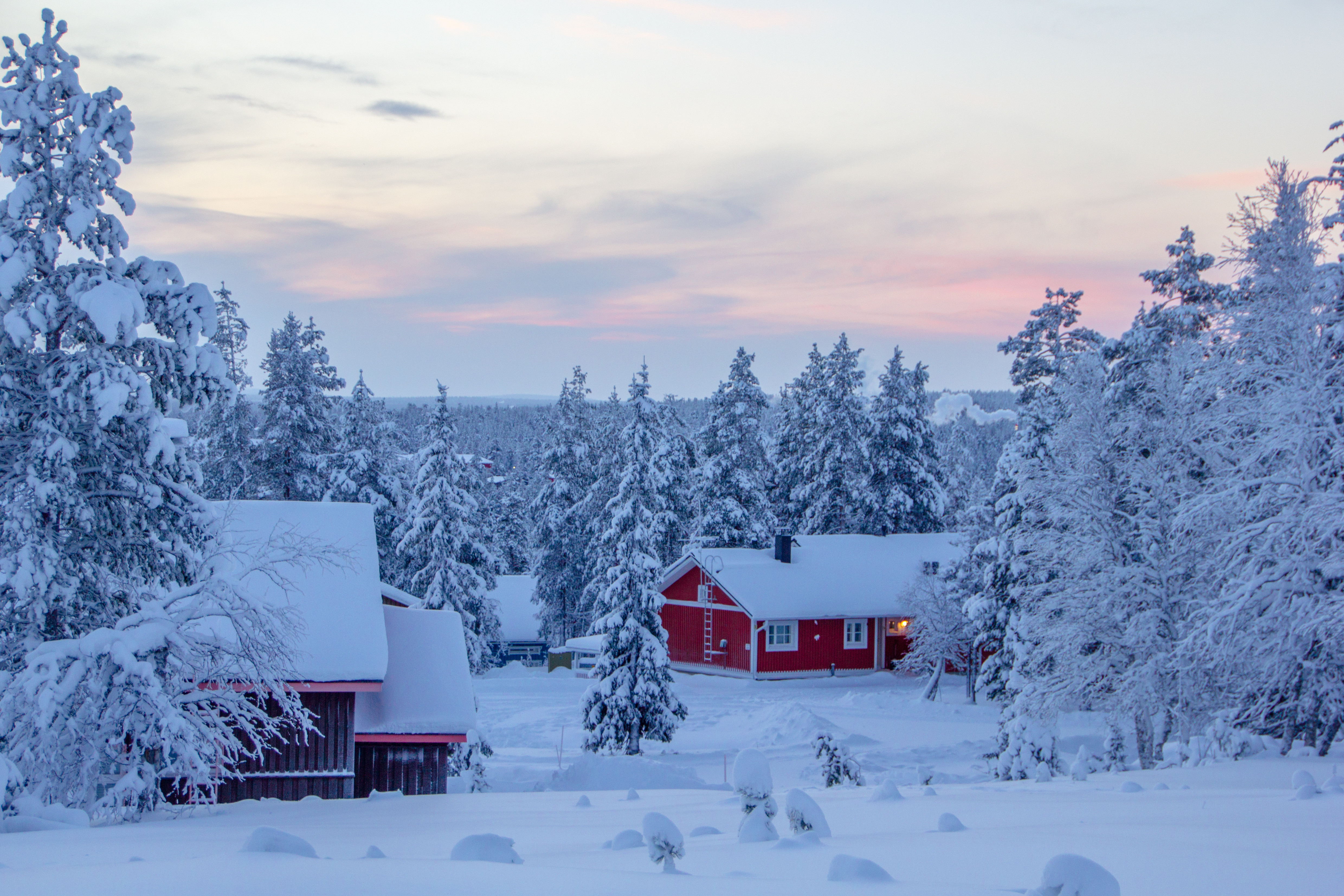 Un invierno más corto y el calentamiento climático provocan cambios dinámicos en los ecosistemas noruegos.