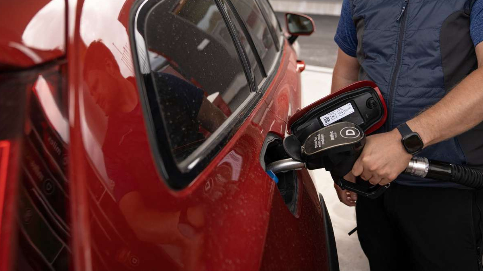 Bank może reagować łagodniej, gdy inflacja wynika z czynników zewnętrznych.