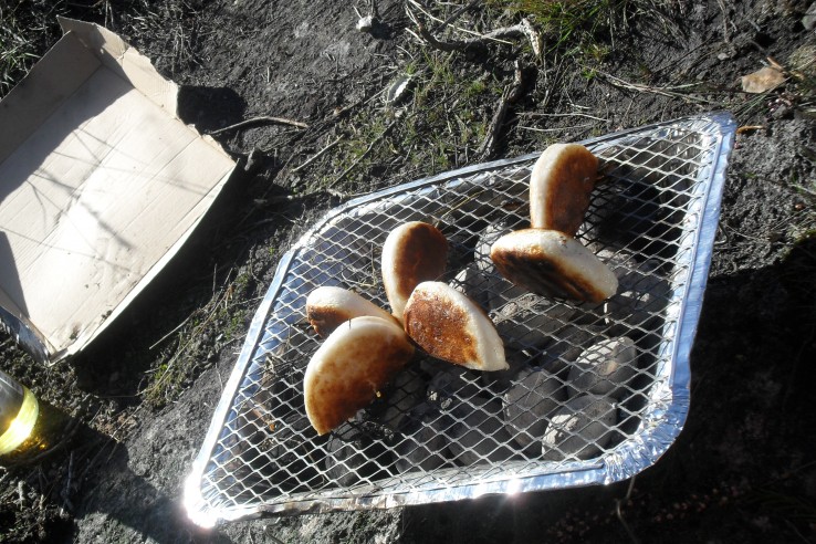 grill grill