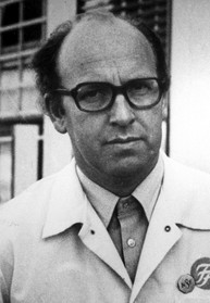 Arnfinn Nesset