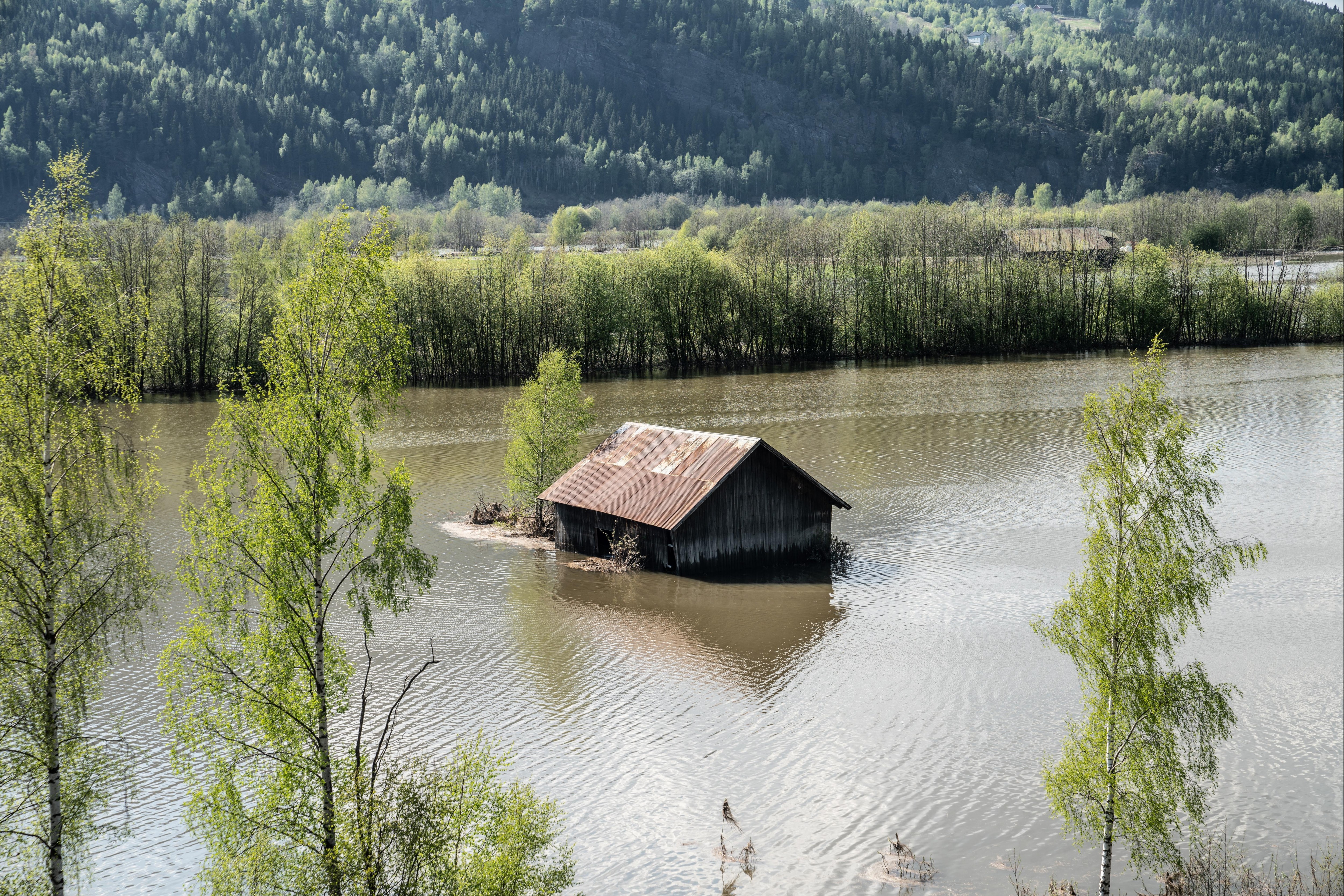 Według obliczeń Norsk Naturskadepool rekompensatę za zgłoszone dotychczas szkody można oszacować na około 1,7 miliarda koron.