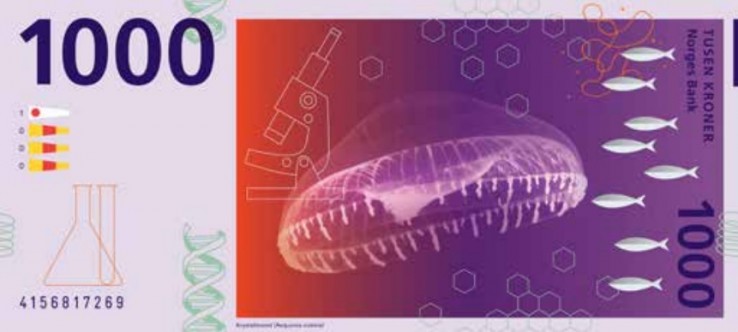 jedna z odrzuconych propozycji nowych banknotów jedna z odrzuconych propozycji nowych banknotów