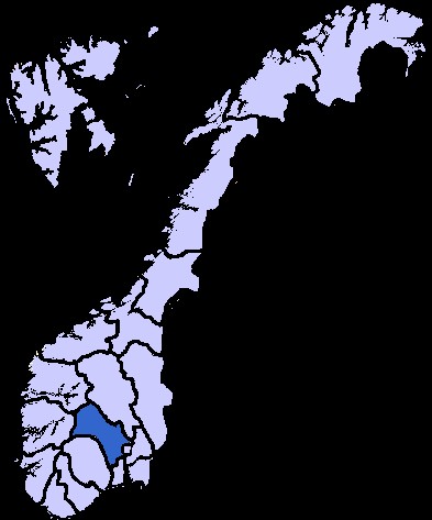 Buskerud mapa Buskerud mapa