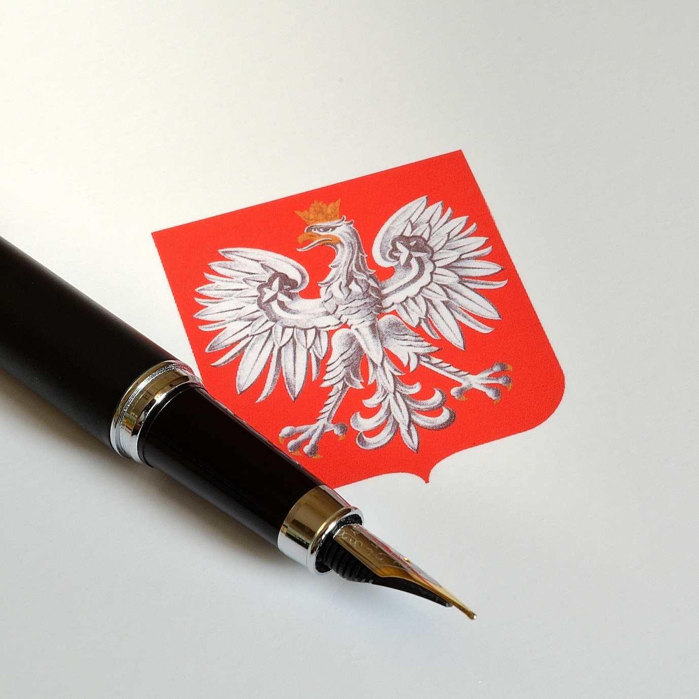 Głosować nie mogą osoby pozbawione praw publicznych, pozbawione praw wyborczych oraz ubezwłasnowolnione.