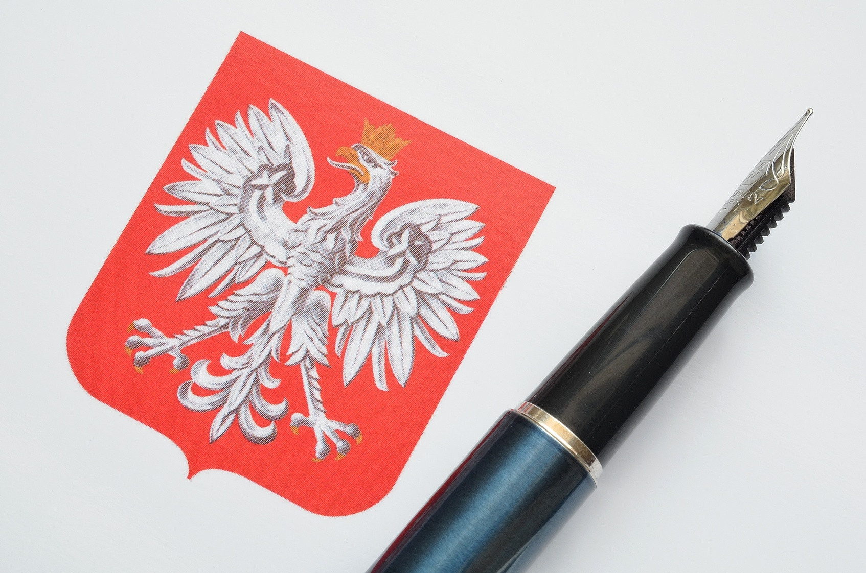 Польща прагне використати потенціал громадян і їхніх сімей, які проживають за кордоном.