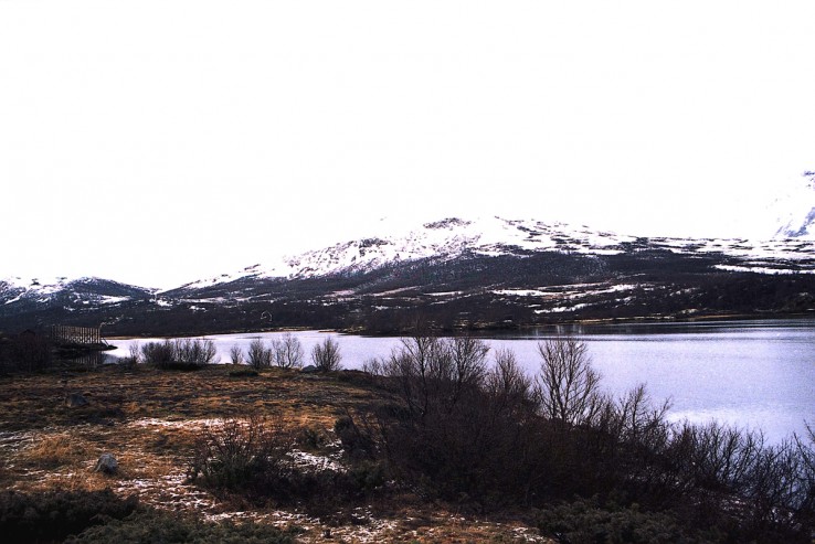 Dovrefjell Dovrefjell