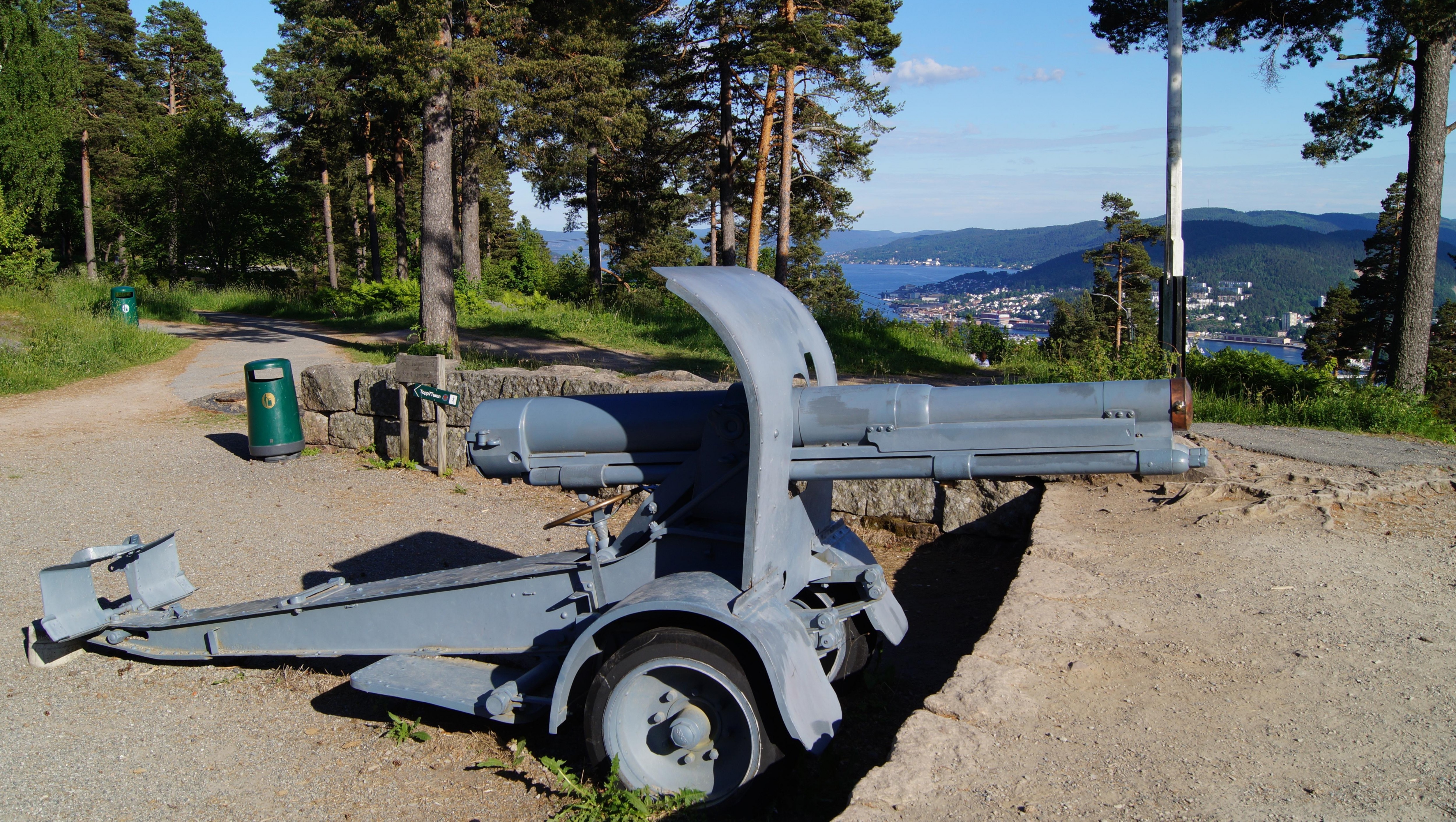 Zabytkowa armata, postawiona na pamiątkę uniezależnienia się Norwegii od Szwecji.