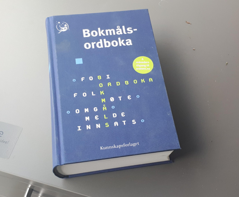 Bokmålsordboka to jeden z polecanych słowników norwesko-norweskich.