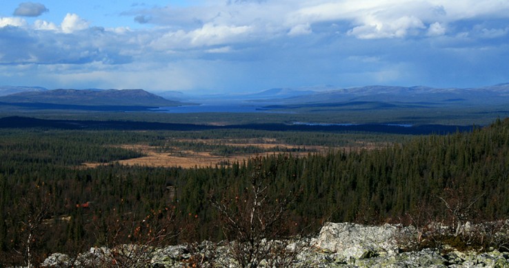 Dovrefjell Dovrefjell