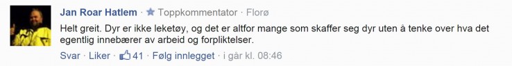 komentarz internauty komentarz internauty