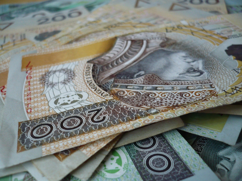 Złotówce zaszkodziła decyzja banku centralnego o obniżce stóp procentowych. Korona norweska oczekuje na wrześniową aktualizację wskaźnika.