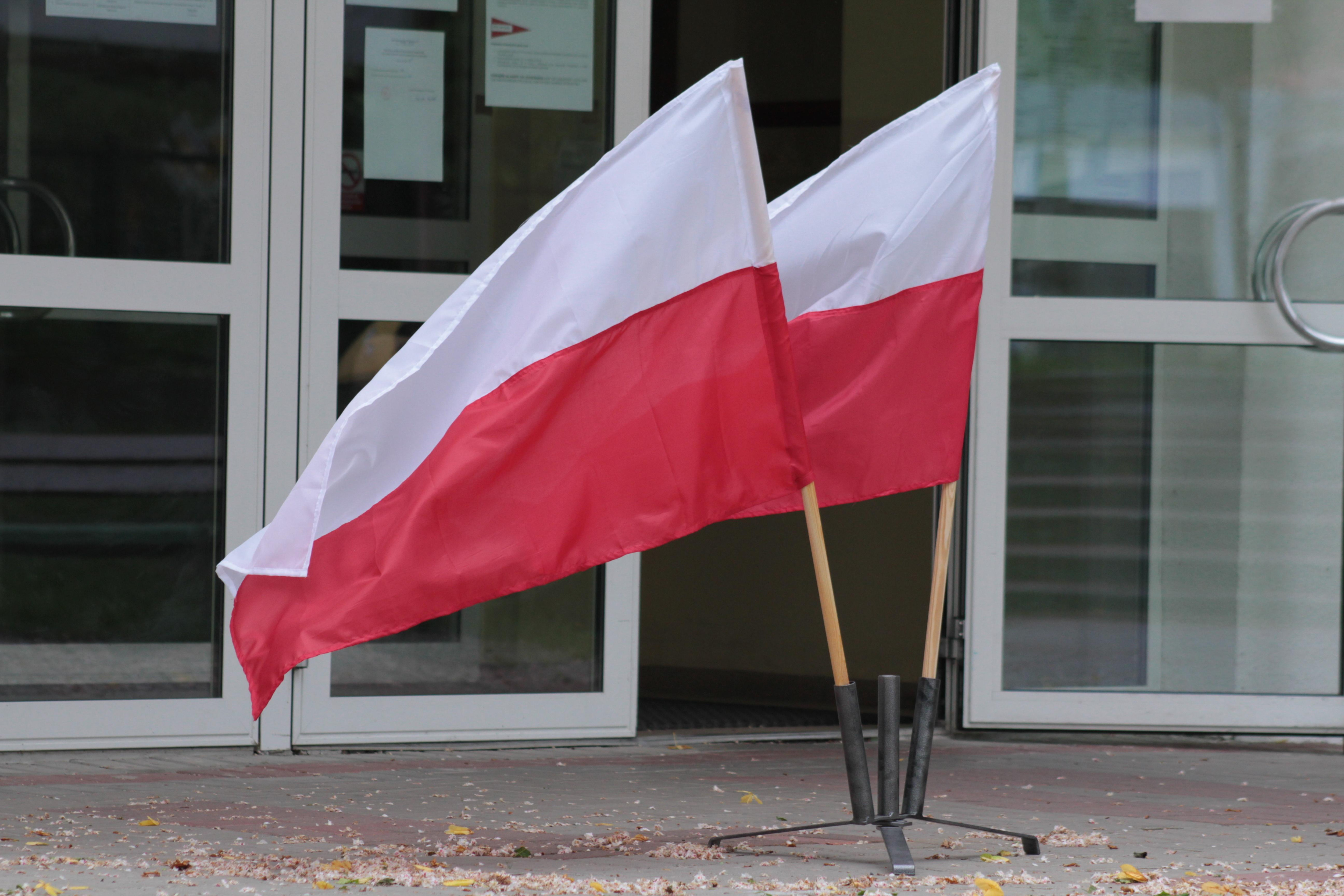 Mandat senatora zdobyli przedstawiciele KO (41), TD (11), NL (9) oraz startujący z własnych komitetów (5).