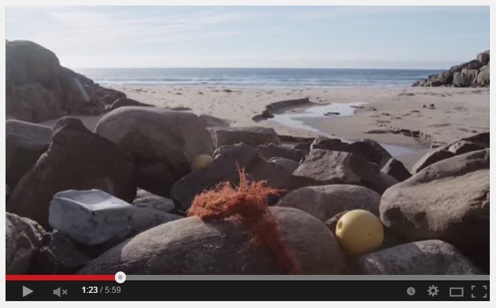 Ren Kyst - got a spare afternoon?