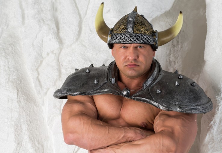 Idealny wiking Idealny wiking