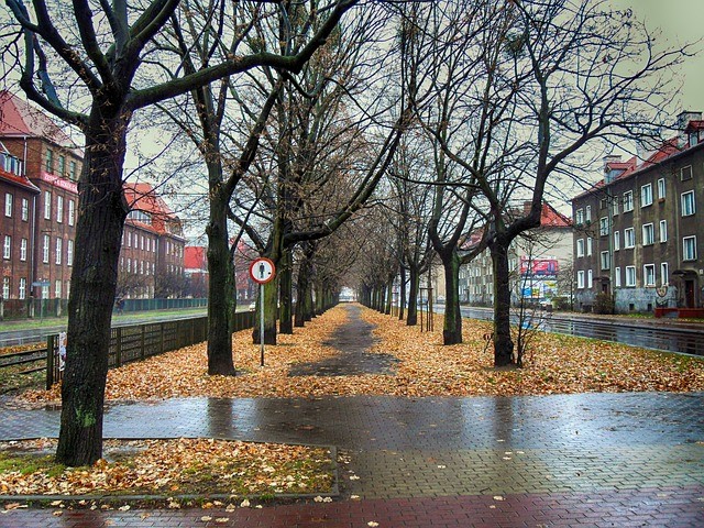 Deszcz w Gdańsku