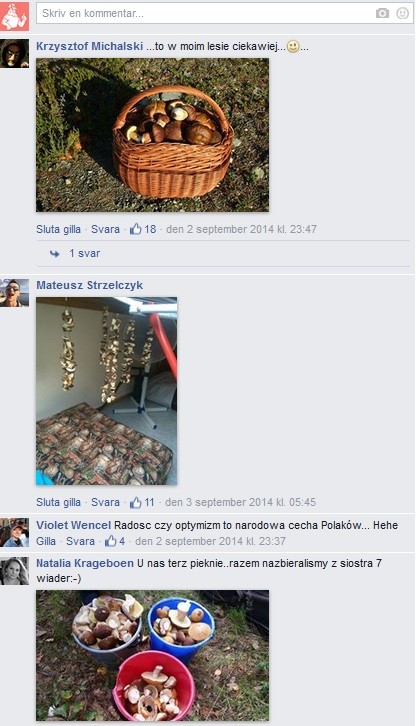 Znaleziska naszych czytelników