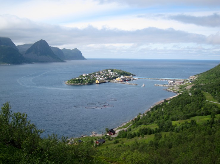 Husøy