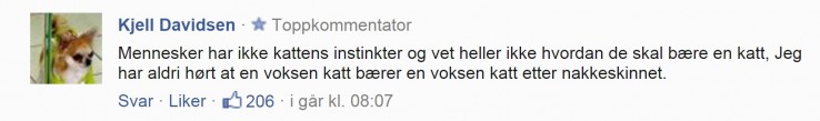 komentarz komentarz
