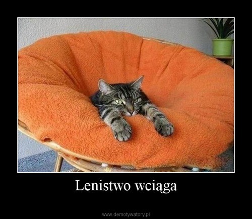 Lenistwo wciąga Lenistwo wciąga