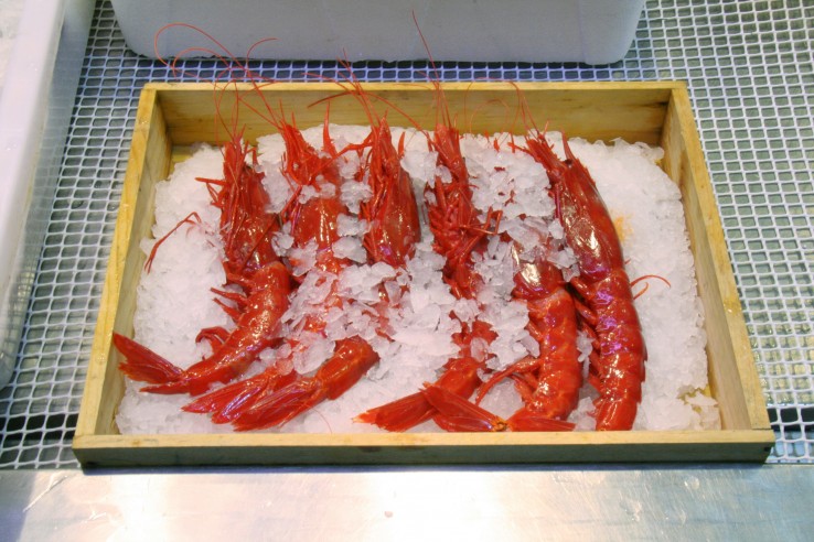 Krewetki