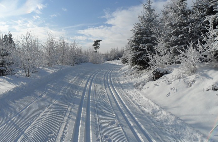 trasa biegowa