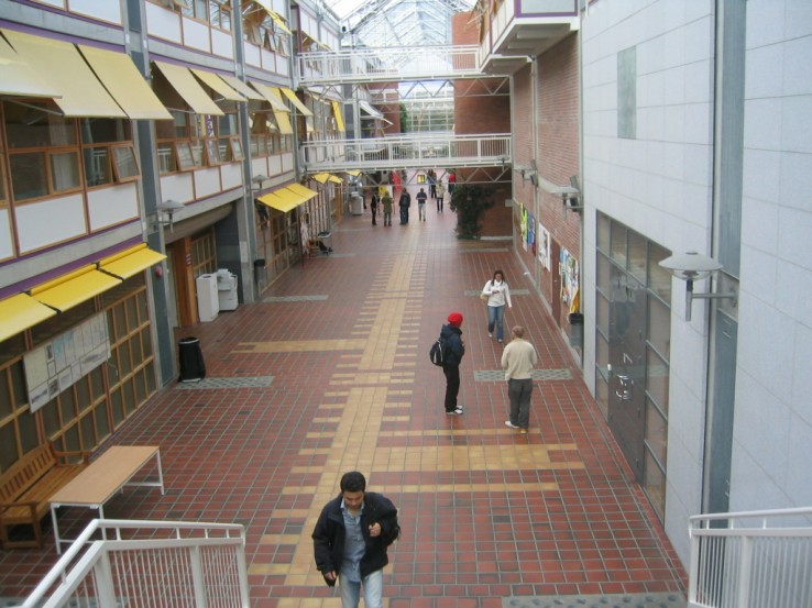 uniwersytet w Trondheim