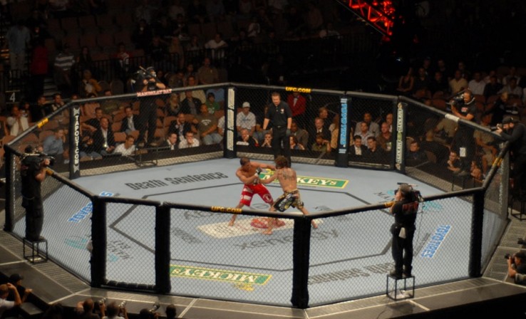 walka MMA walka MMA
