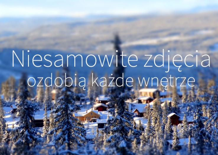 Kalendarz MN Kalendarz MN