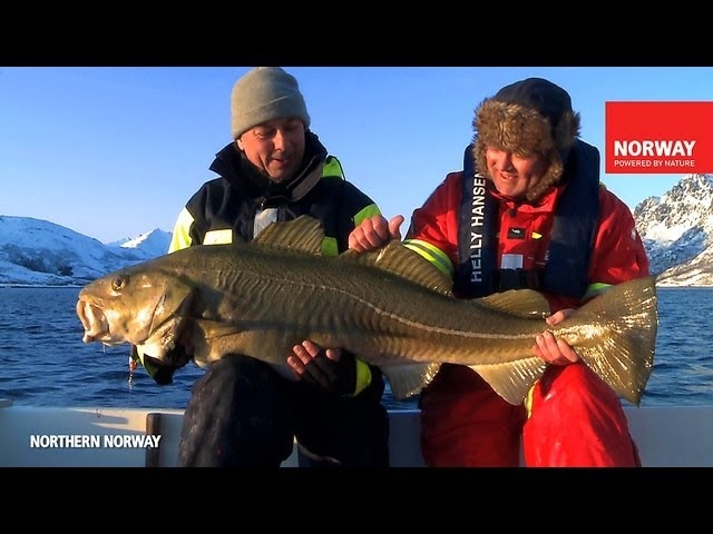 NORWAY. WINTER. FISHING.
