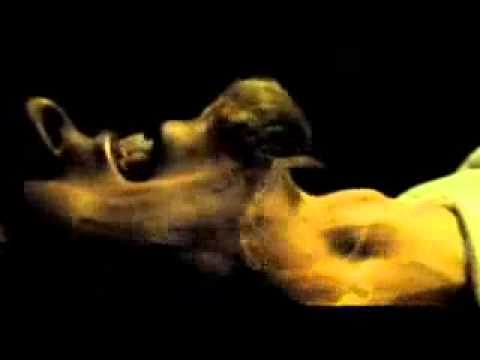 L.U.C - Pomiędzy wszystkim